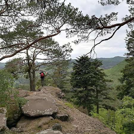L'Ours Vert Baerenthal Kültér fotó